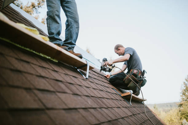 Best Roof Gutter Cleaning  in Compton, CA